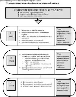 Этапы работы алалии