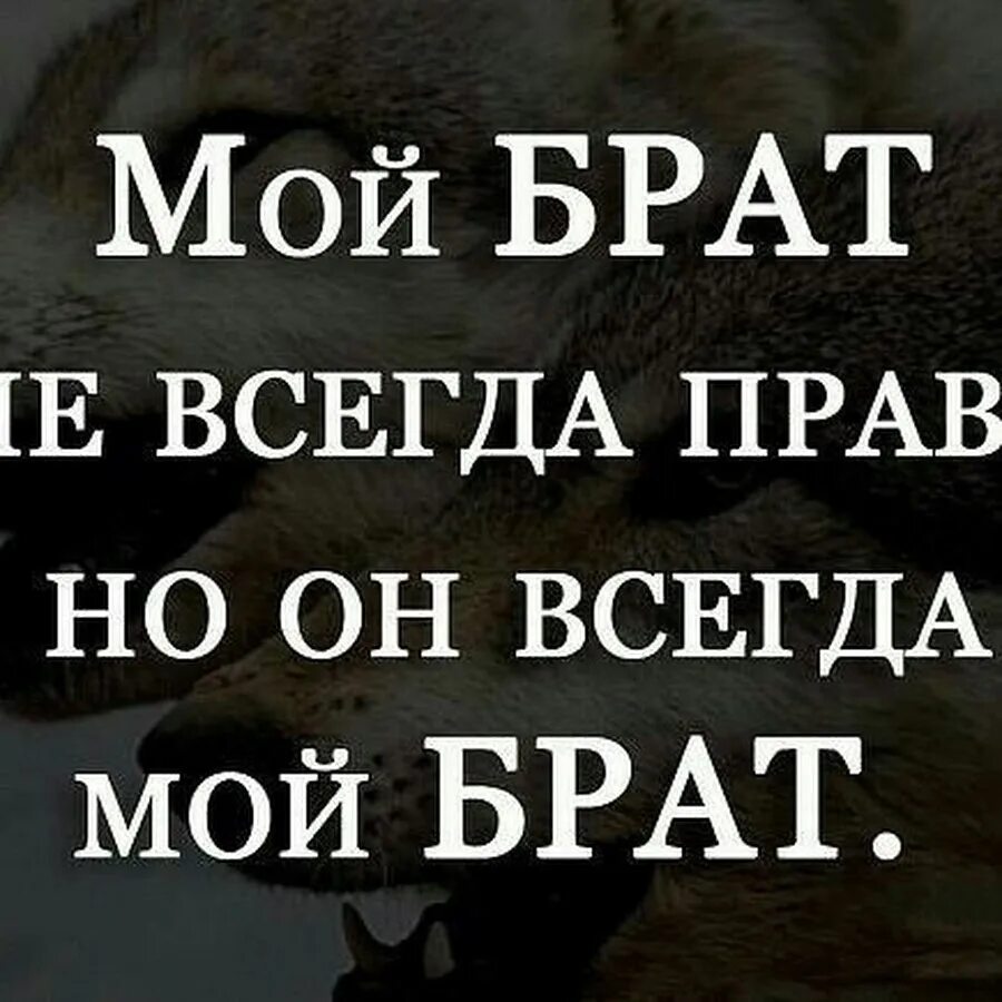 Брат любовь читать. Цитаты про брата. Брат это цитаты от сестры. Статусы про брата. Цитаты про брата со смыслом.