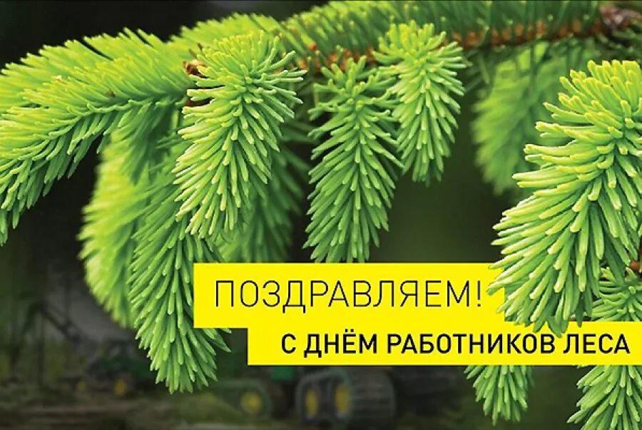 Дума Ставропольского края - 18 сентября - День работников леса