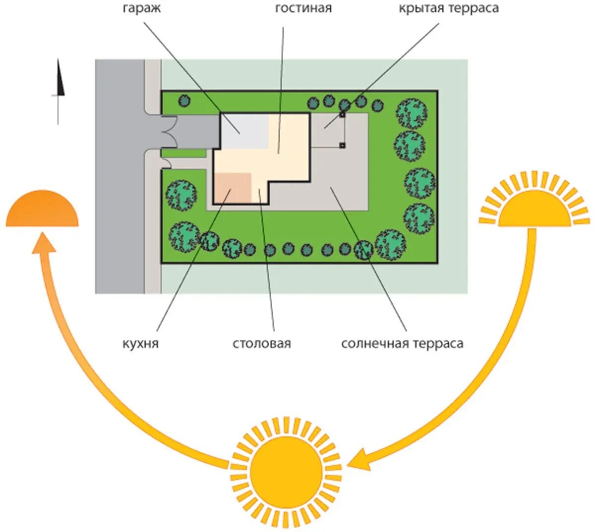 Где расположен дом. Планировка участка 10 соток по сторонам света. Как правильно расположить дом на участке по сторонам света схема. Расположение грядок на дачном участке по сторонам света схема. Правильная планировка участка 10 соток по сторонам света.