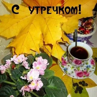 Доброе утро 12 октября