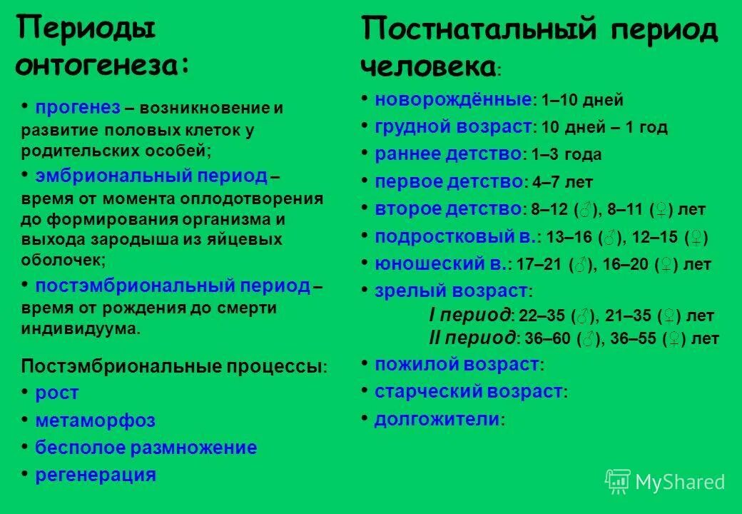 Работа по онтогенезу 10 класс