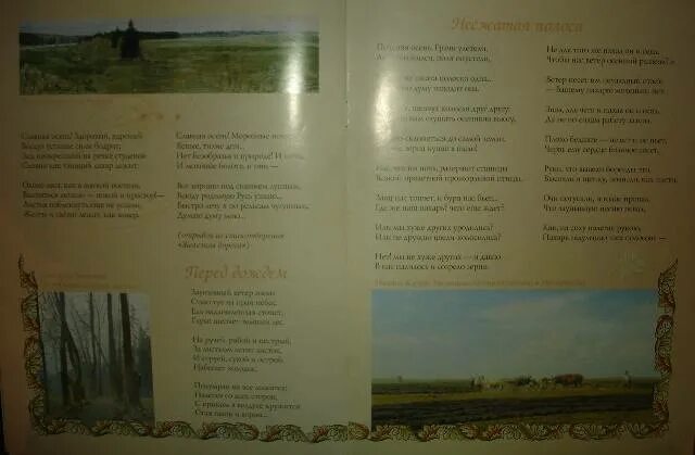 Всюду родимую русь узнаю некрасов стих. Всюду родимую. Тринадцатое ноября. Всюду родимую. Стихотворение всюду родимую русь узнаю.