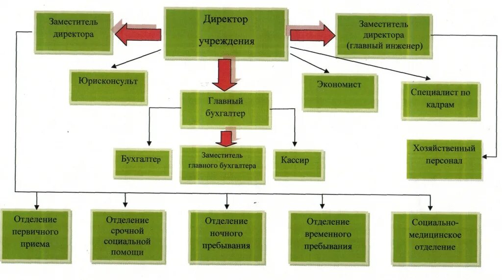 Может ли быть в ооо директор. Название должностей заместителя руководителя. Должности руководителей в компании руководителей. Должность заместитель директора. Иерархия в компании должности руководителя.