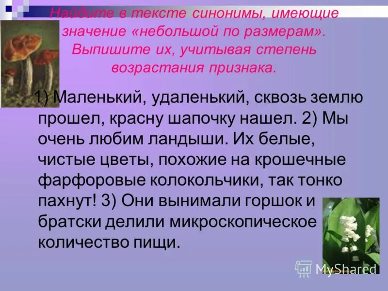 расположите слова по возрастающей степени признака