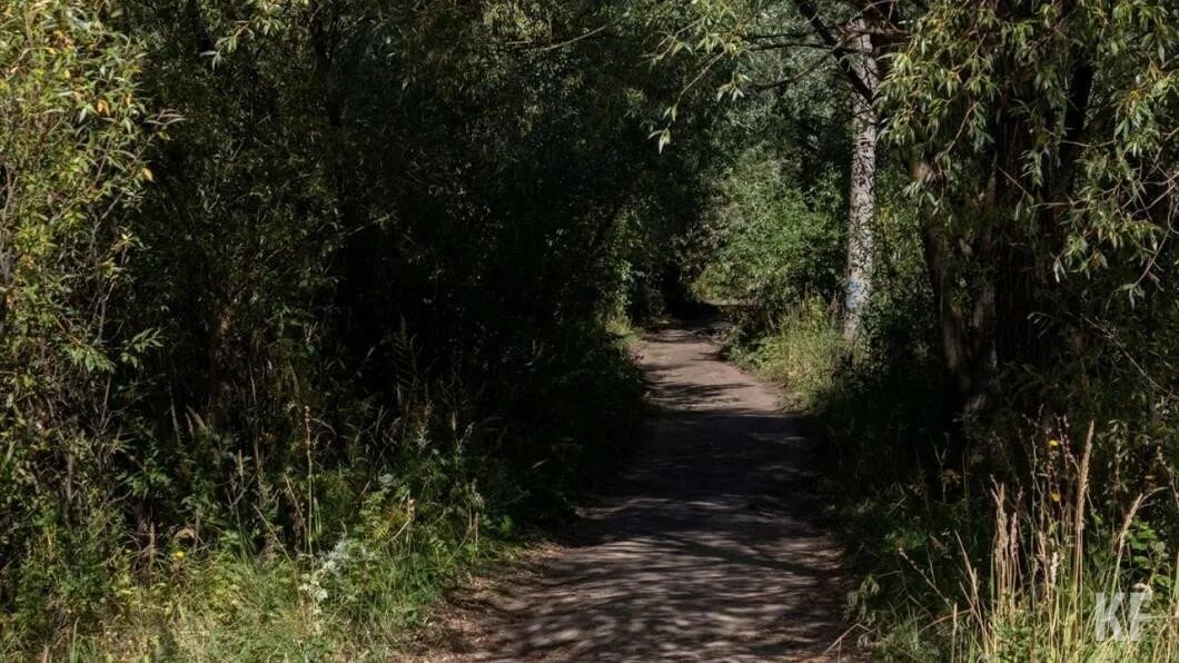 Ищет укромное место. Бункер в битцевском лесу. Ищет укромное место. Спальное место под лестницей уютно. Ищет укромное место.