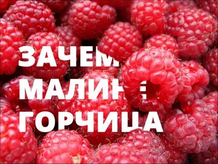 Вака малина