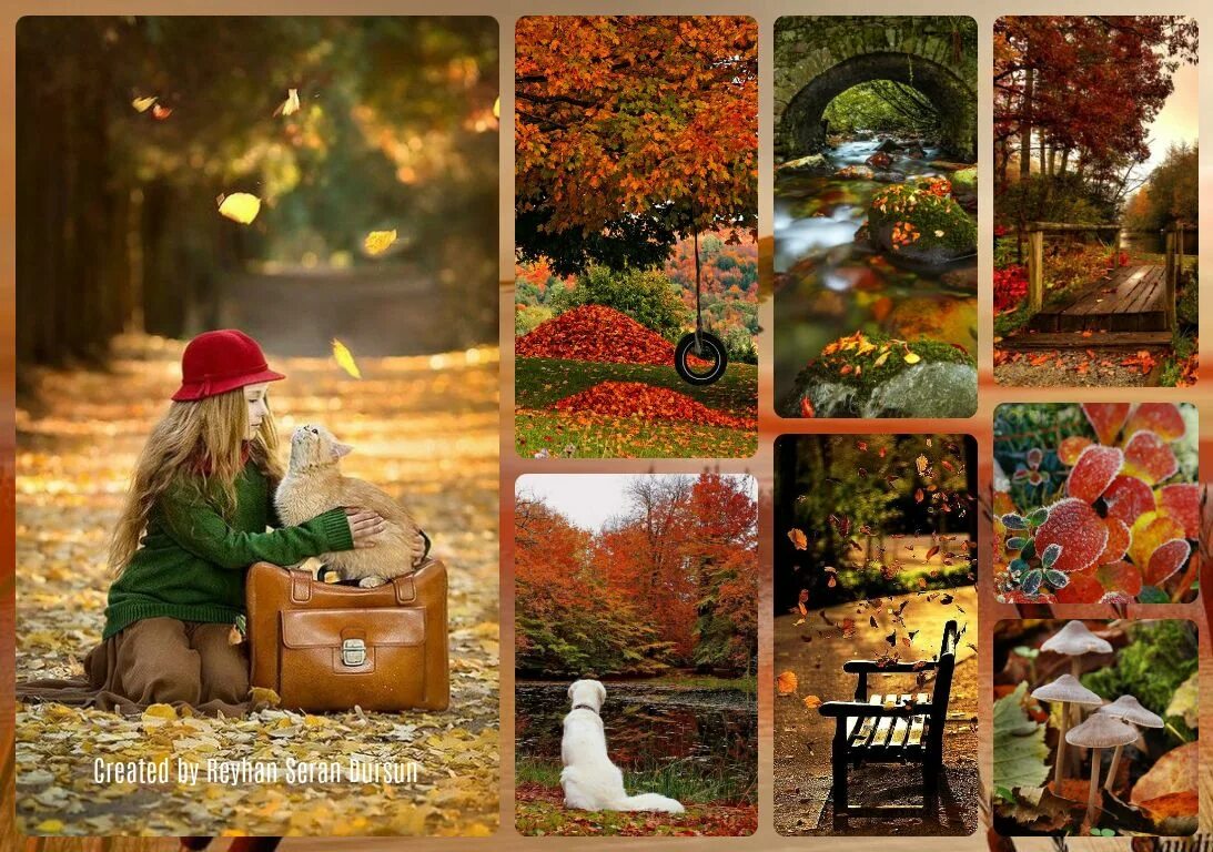 By autumn i