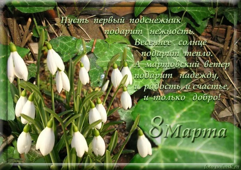 Весенние пожелания. Пусть счастье и радость идут с вами одной дорогой. Пусть в этот день весенними лучами. С 8 мартом тюльпаны. Пусть в этот день весенними лучами.
