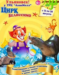 Цирк невинномысск 2024 август