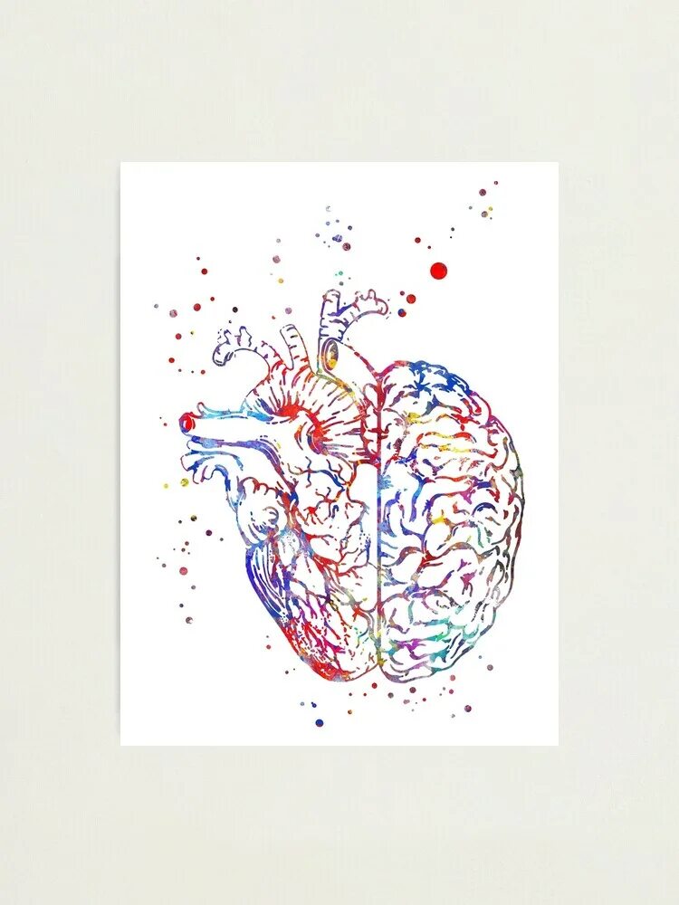 Heart and brain