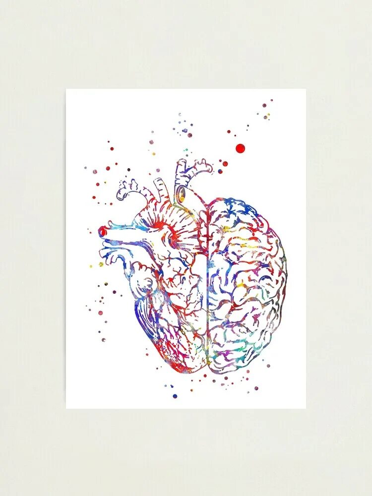 Heart and brain. Мозг и сердце. Сердце и головной мозг. Мозг эскиз. Мозг арт.