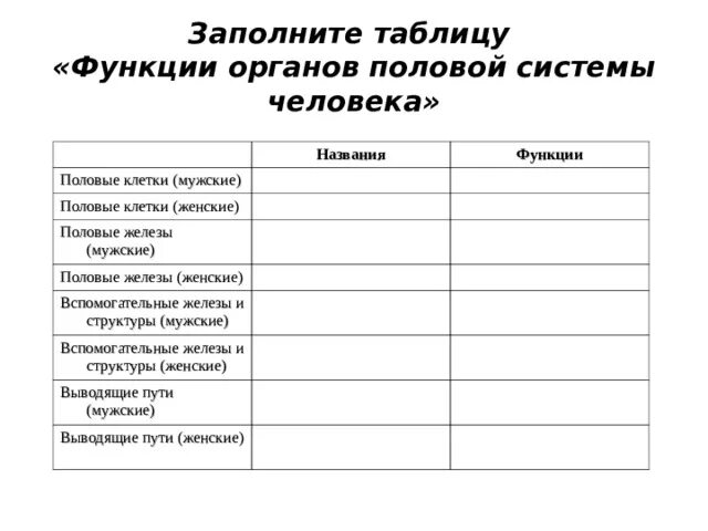 Вспомогательные железы и структуры мужские функции. Строение половых клеток таблица. Вспомогательные железы и структуры женские. Вспомогательные железы и структуры мужские таблица.