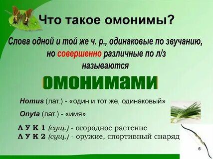 3 слова омонимы и их значение