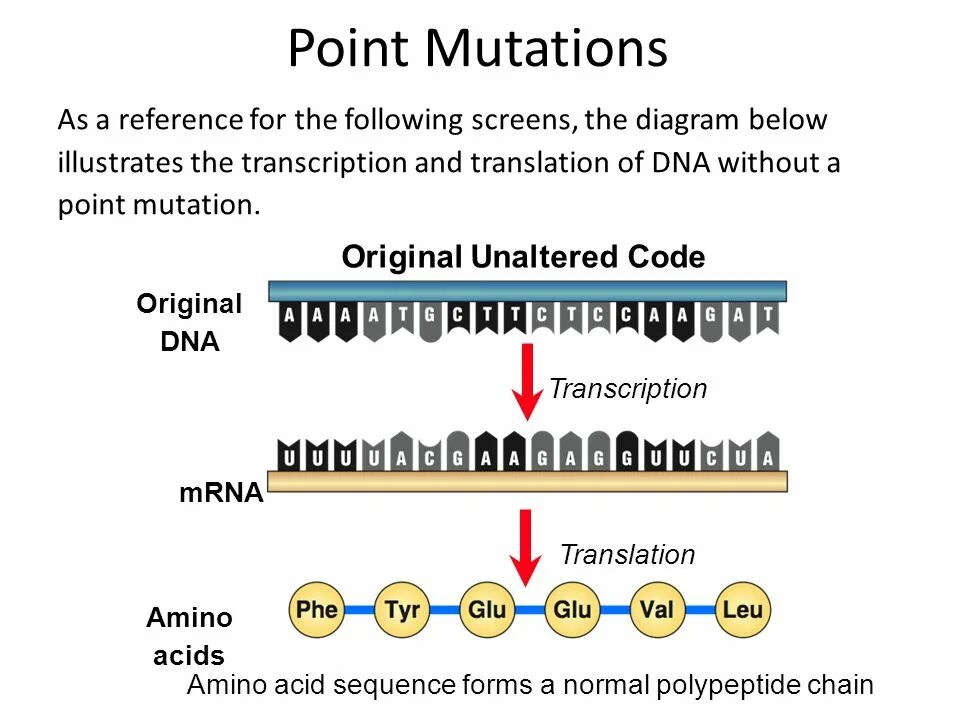 Транскрипция мутация. Amino acids DNA. Amino acid sequence for presentation. GENBANK sequence format. Depending on the Size of the changes in DNA, Mutations are divided into:.