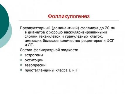 Преовуляторный фолликул