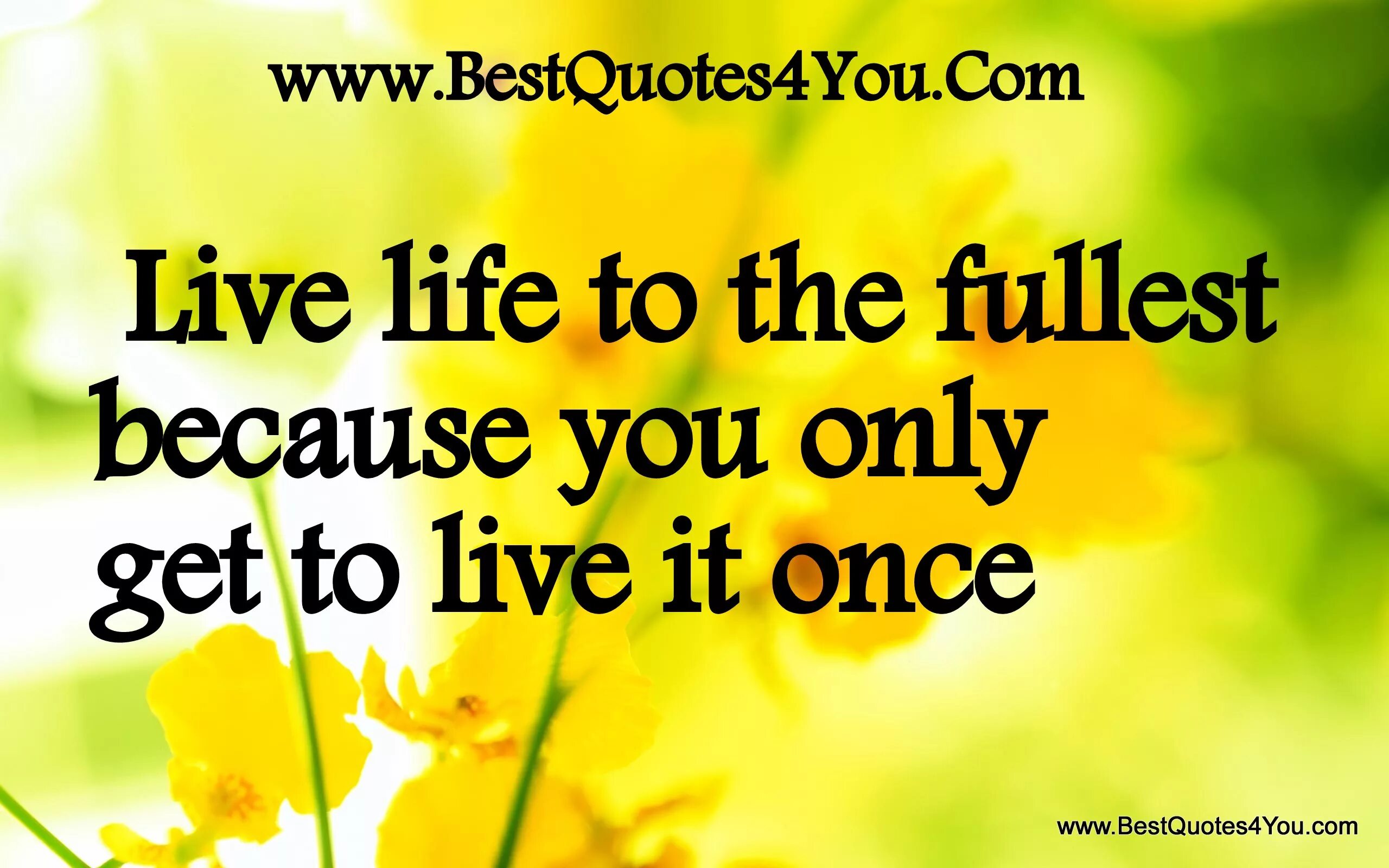 Because you live. Live to the Fullest. Living Life to the Fullest. Live your Life to the Fullest. Live is Life.