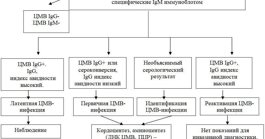Определение цмв