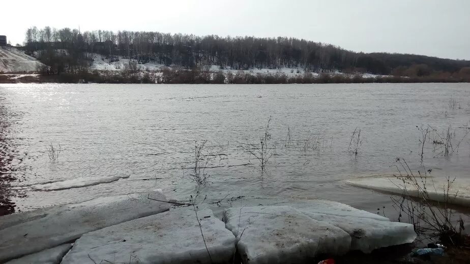 Гидропост горбатов на оке сегодня уровень воды. Разлив реки Жиздра в Калужской области. Уровень воды в Жиздре Козельск. Подтопление Ока Калуга. Уровень воды Ока Калуга.