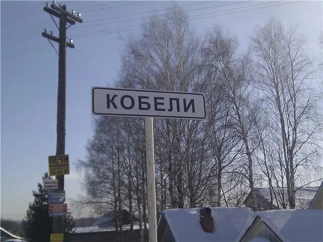 Деревенская дворняжка. Собака коми. Киров деревня кобели. Собака вдеревенком дворе. Пес найденный в деревне.