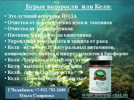 Келп состав
