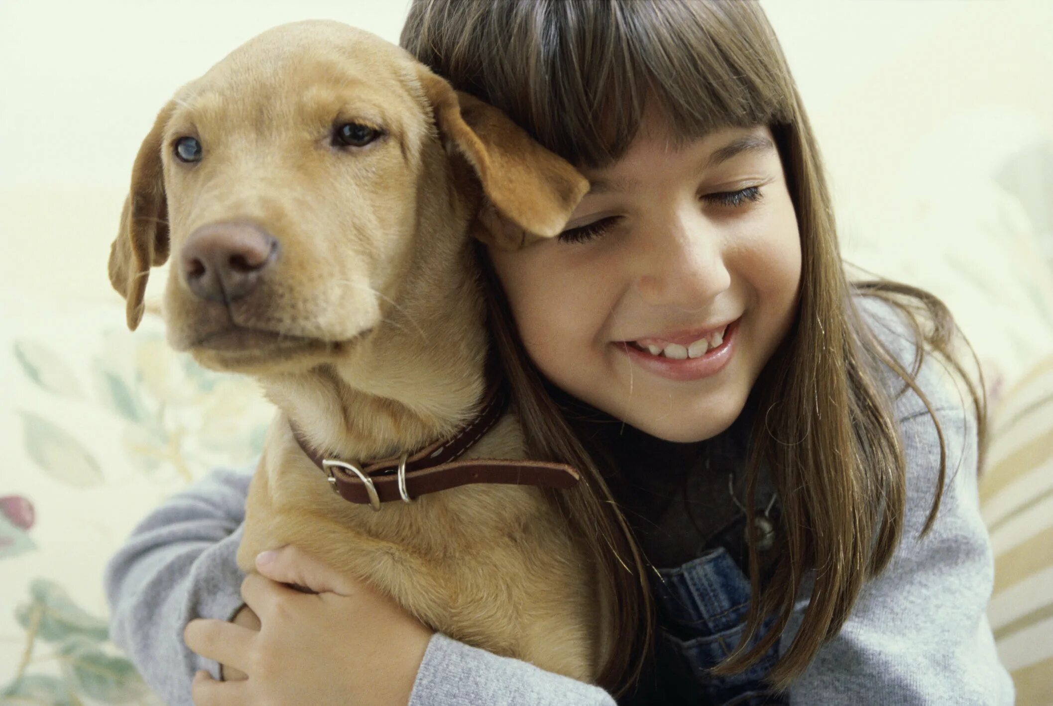 Keeping pets listen. Девочка обнимает собаку. Собаки и люди разные. Ребенок обнимает собаку. Человек обнимает собаку.