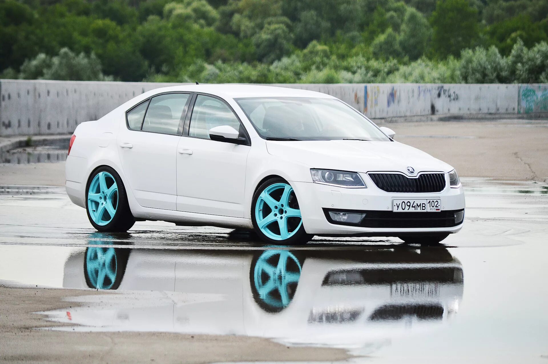 Диски на белой шкоде. Диски на шкода октавия а7 белую. Шкода рапид литье на 15. Белая шкода октавия а7 диски 16. Диски на шкода октавия а7 белую.