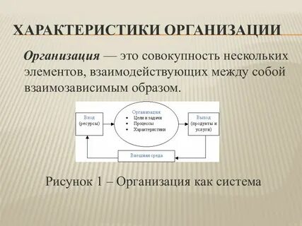 Свойства организации как системы