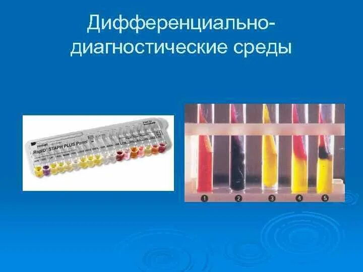 Дифференциальные диагностические среды микробиология. Дифференциальная диагностика среды. Дифференциально-диагностические среды для выявления клостридий. Среда диагностическая. Каково назначение дифференциально-диагностических сред.