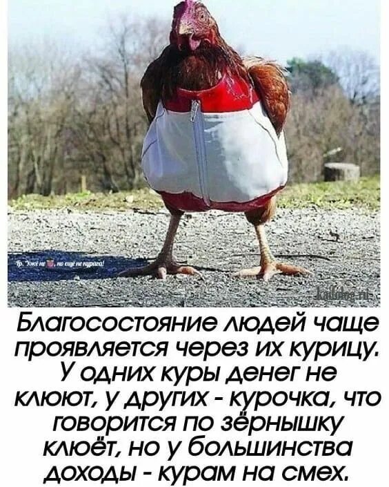Курам на смех значение