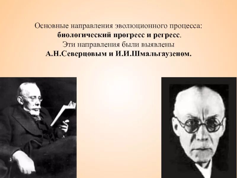 Макроэволюция прогресс и регресс. Северцов биологический прогресс. направления и пути эволюции. основные направления эволюции. главные направления эволюционного процесса.