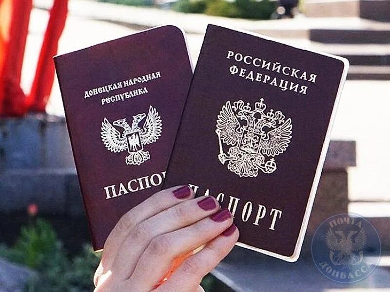 Прием документов днр. Прием документов днр