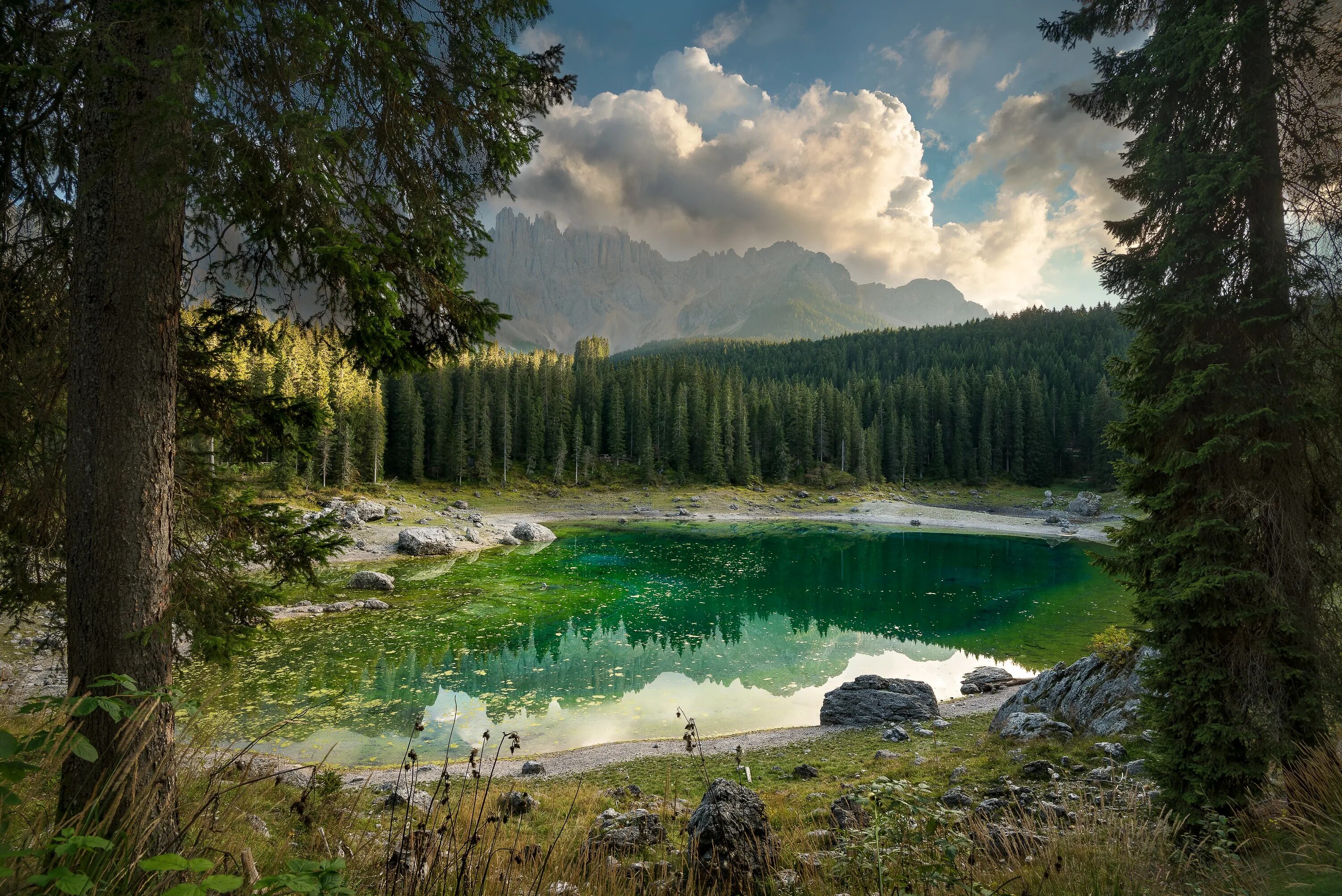 Сосновый бор костанай. Лесное (озеро, северная америка). Пейзаж озеро. Осенний лес и озеро. Хадыженское лесное озеро.