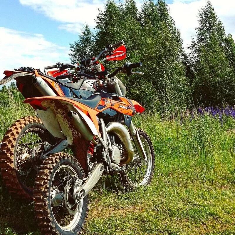 Назначение эндуро. Эндуро мотик. Ктм хард эндуро. Ktm exc red bull. Хускварна 250 эндуро.