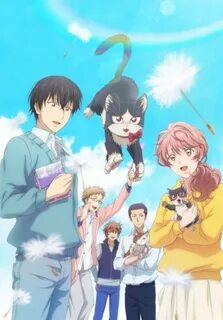 Doukyonin wa hiza tokidoki atama no ue
