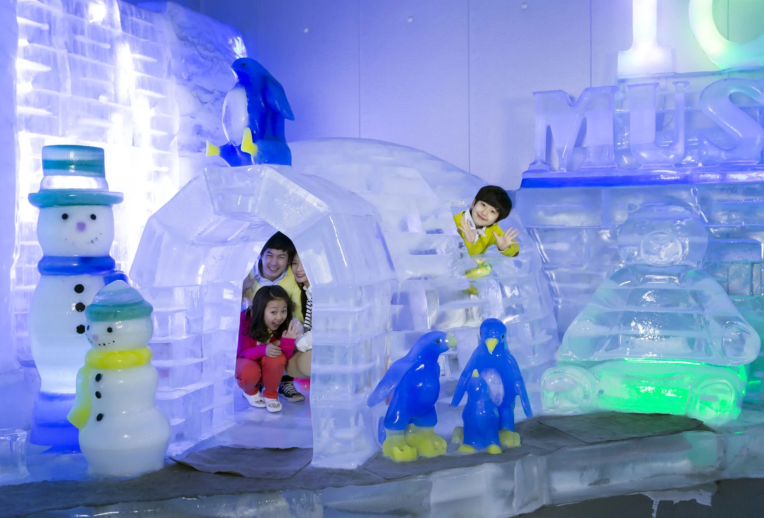 Музеи скульптур сеул. Ледяная галерея в сеуле. Ice museum. Детский музей в корее. Ледяная галерея сеул адрес.