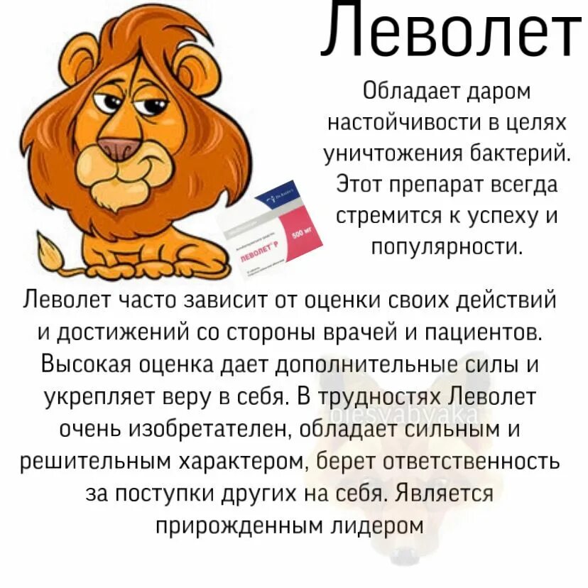 Гороскоп про льва