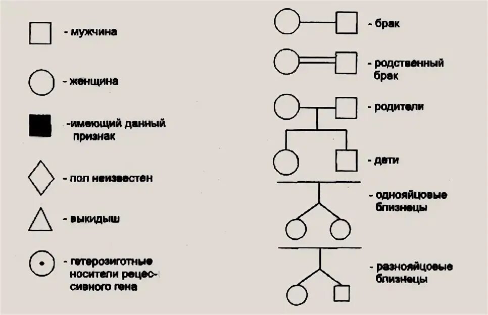Обозначения в генеалогии. Знаки родословной. Условные обозначения при составлении родословных. Обозначения при составлении родословной. Клинико генеалогический метод составление родословной.