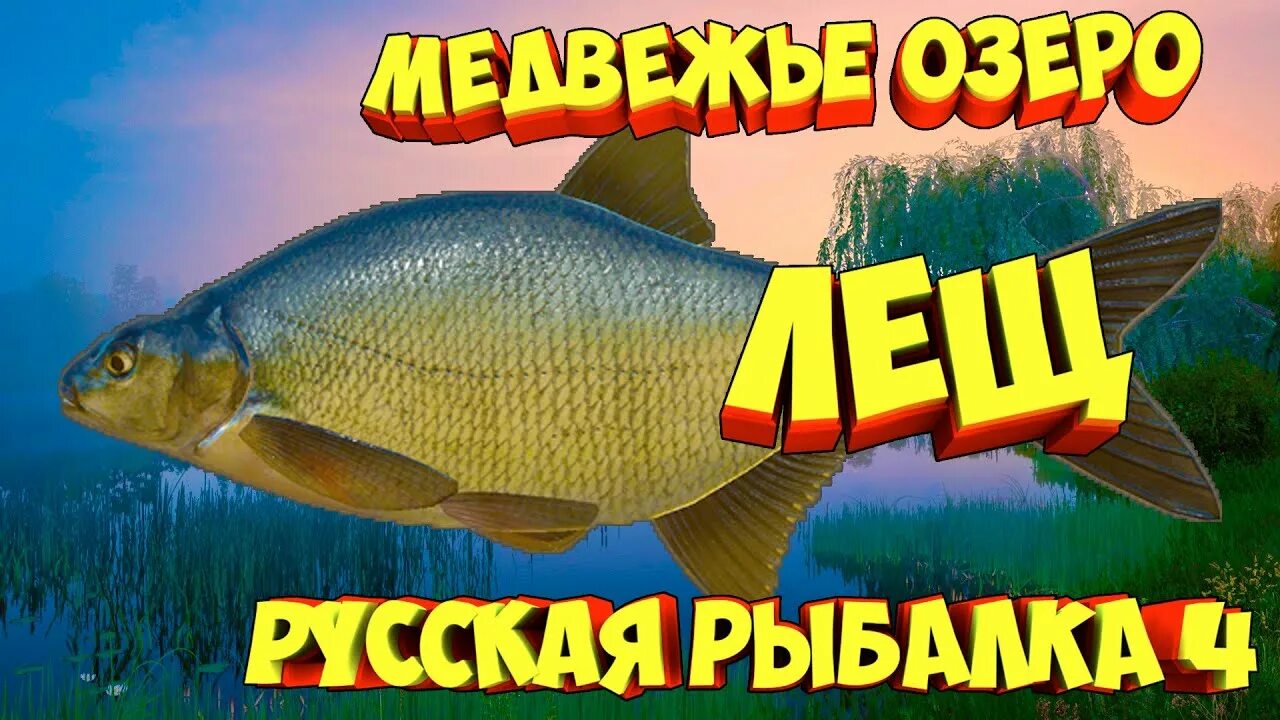 Русская рыбалка 4 медвежье. Лещ рр4. Русская рыбалка 4 лещ. Медвежье рр4. Озеро Медвежье рр4.