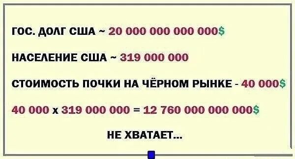 Стоимость одной почки человека. Сколько стоит человек. Сколько стоит почка человека. Объявление о продаже почки. Сколько стоит почка человека.