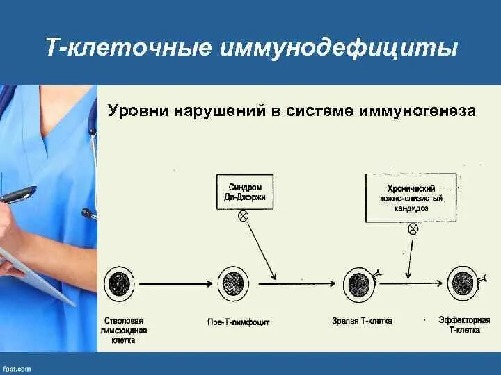 Т клеточный иммунодефицит. Т клеточные иммунодефициты. Первичные иммунодефициты схема. Иммунодефициты т клеточного звена. Схема иммуногенеза.