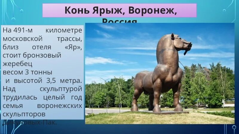 Воронежская лошадь