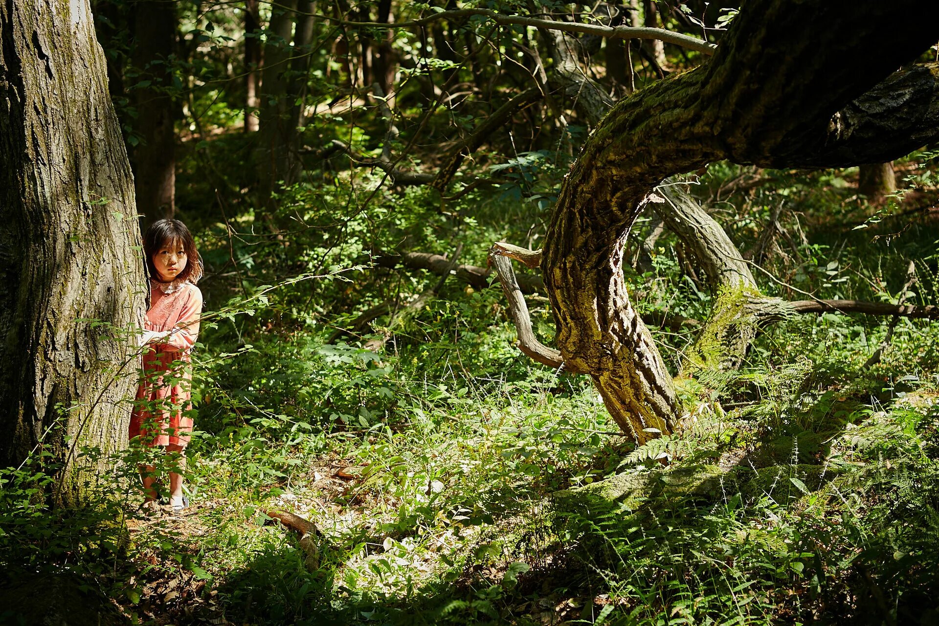 Мимикрия 2017. Мимикрия. Мимикрия тюмень. Аниме металлическая мимикрия. Мимикрия тюмень.