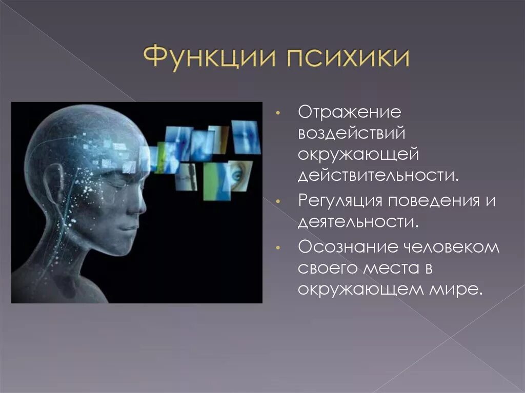 Тема поведение и психика. Отражательная и Регуляторная функция психики. Функции психики человека. Регуляция поведения и деятельности. Функции психической деятельности человека.