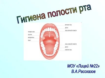 Как часто делать гигиену полости рта