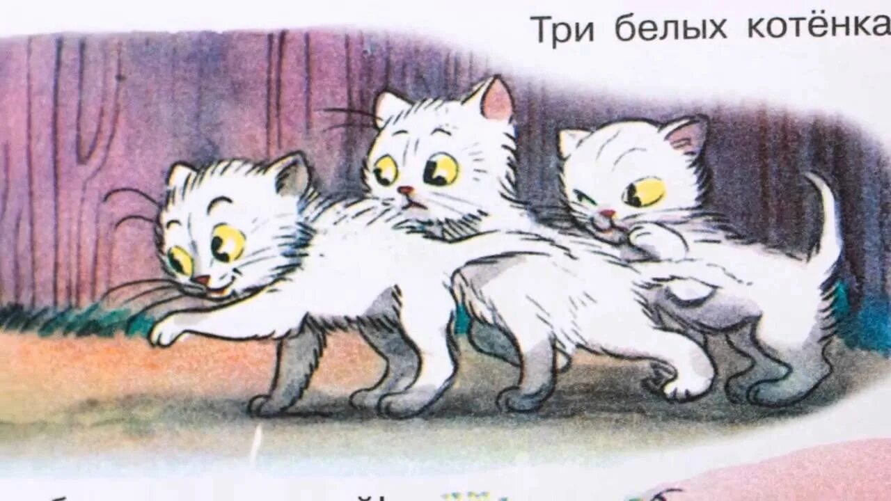 Сутеев 3 котенка. Три котёнка, Сутеев в.г.. Иллюстрации к сказке Сутеева три котенка.