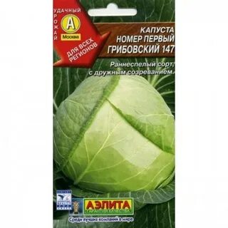 Капуста сорт грибовский характеристика