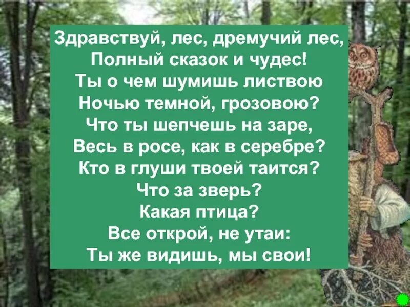 Стихотворение про лес. Стихи про леса. Стихи о лесах. Стихотворение про лесс.