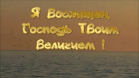 Я восхищен