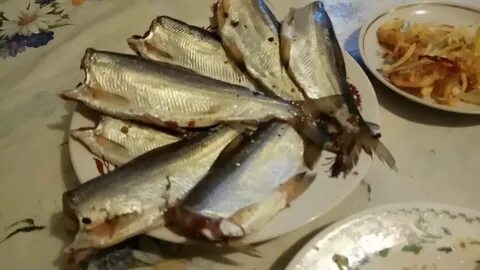 Ряпушка посолить быстро вкусно